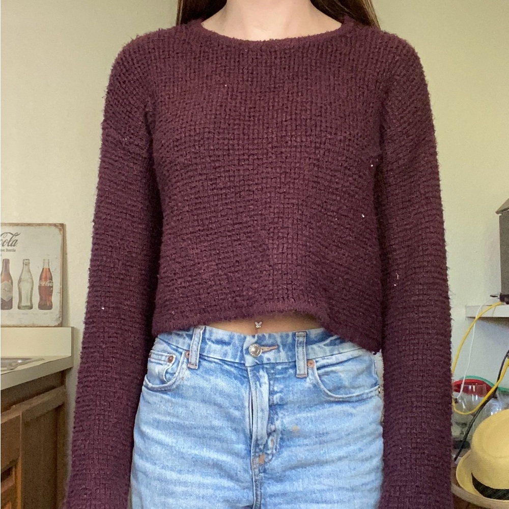Pacsun cropped sweater top